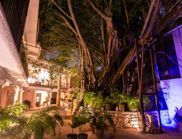 Acqua In Bocca hotel detail image 3