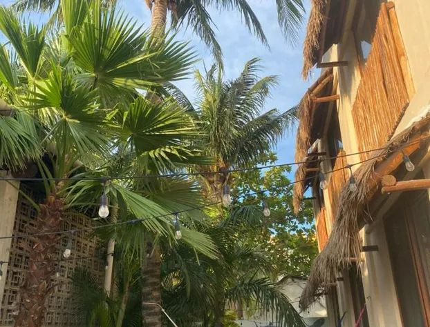 Hotel Pelecanus Suites hotel detail image 2