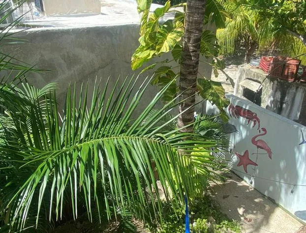 Hotel Pelecanus Suites hotel detail image 3