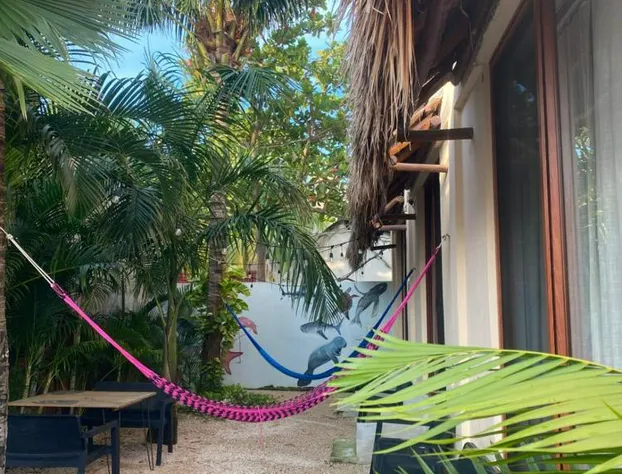 Hotel Pelecanus Suites hotel detail image 4