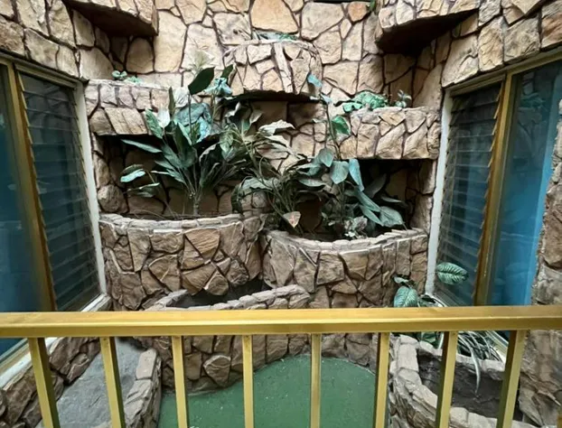 Hotel Paris hotel detail image 2