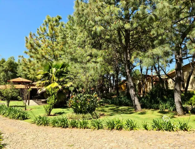 Quinta Tere Hotel & Gallery hotel detail image 3