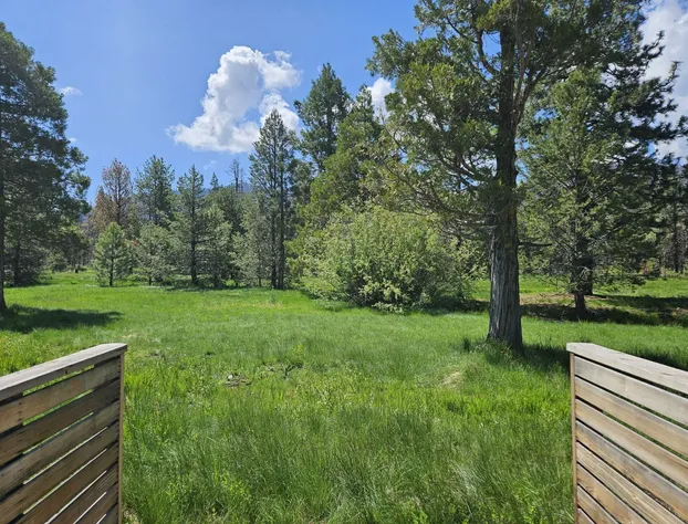 The Black Forest Lodge hotel detail image 1