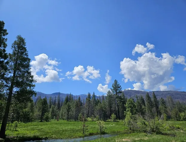 The Black Forest Lodge hotel detail image 2