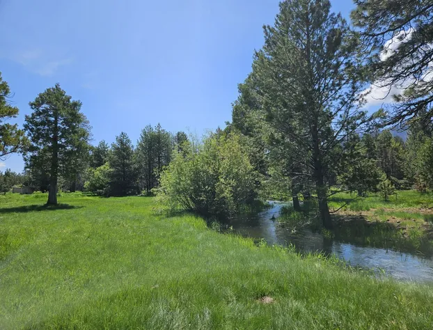 The Black Forest Lodge hotel detail image 3