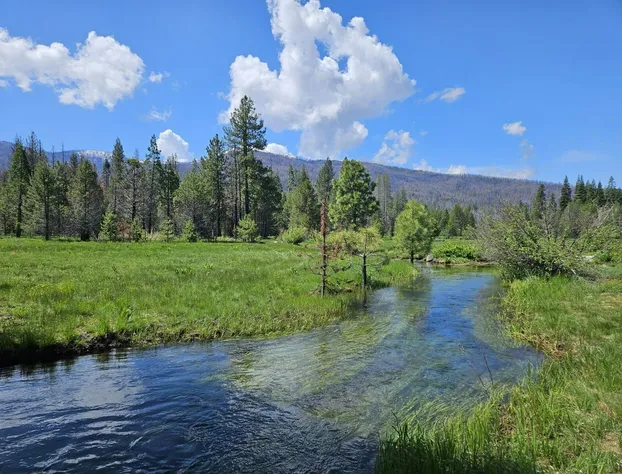 The Black Forest Lodge hotel detail image 4