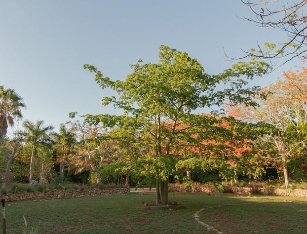 Shambalanté hotel detail image 3