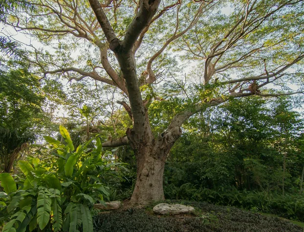 Shambalanté hotel detail image 1