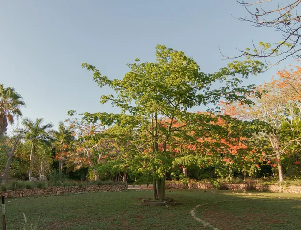 Shambalanté hotel detail image 2