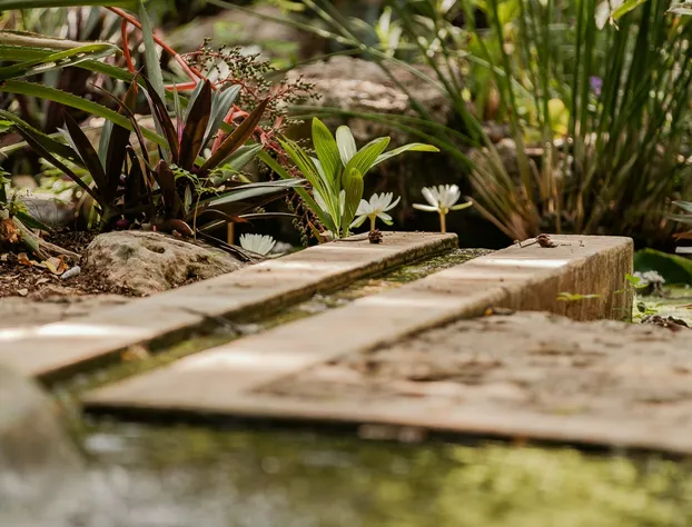 Shambalanté hotel detail image 3