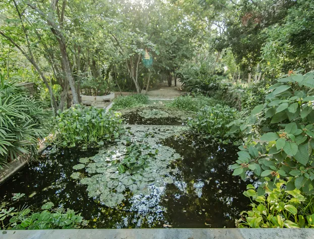Shambalanté hotel detail image 4