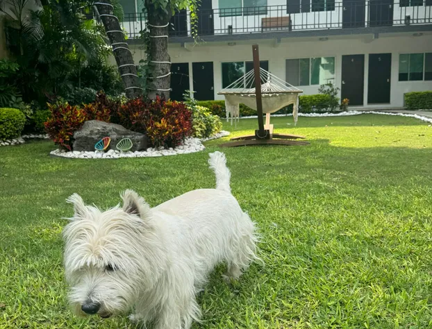 Hotel Luciérnaga hotel detail image 3