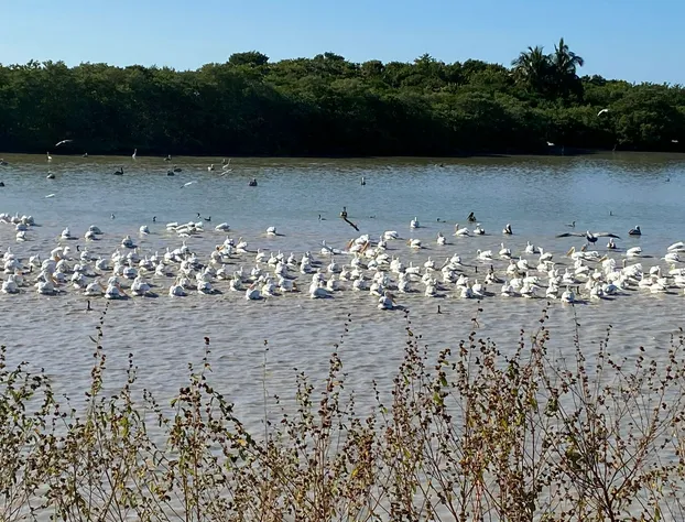 Shamadi hotel detail image 4