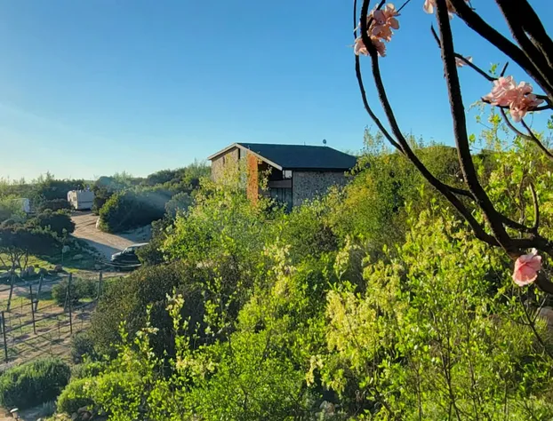 Oasis 444 hotel detail image 2