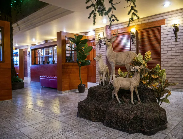 Hotel el Cóndor hotel detail image 3