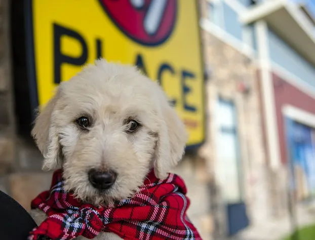 My Place Hotel-Idaho Falls ID hotel detail image 4