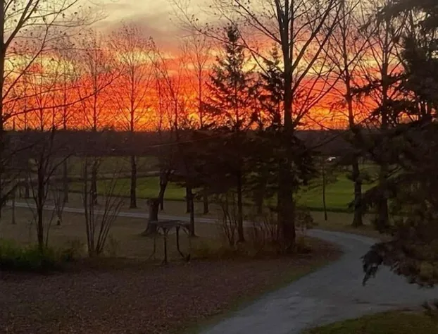 Over the Top B&B hotel detail image 2