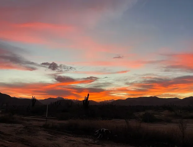 Baja69 Eco friendly Boutique stay hotel detail image 3