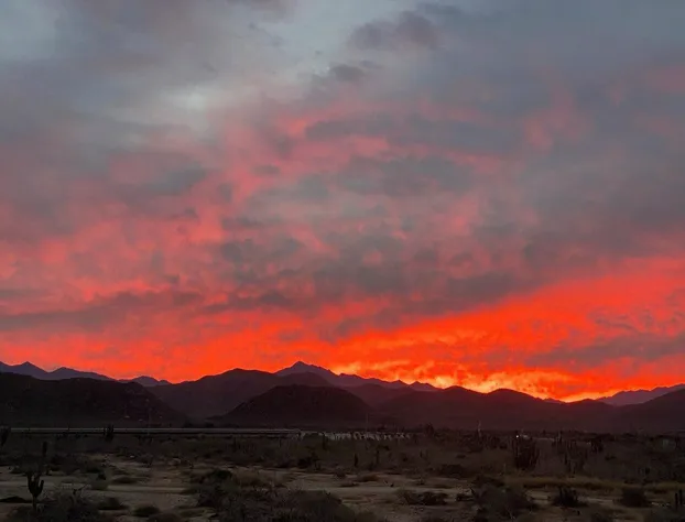 Baja69 Eco friendly Boutique stay hotel detail image 4