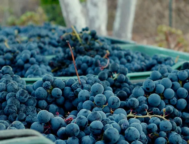 Origen75 hotel detail image 3