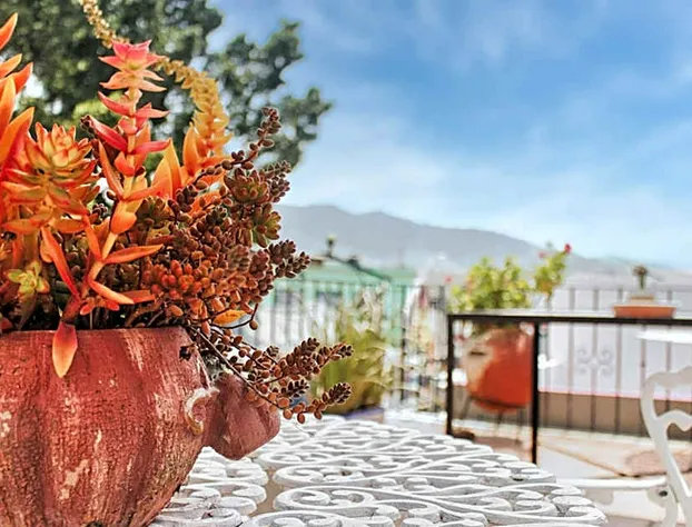 Rosa Mexicano hotel detail image 3