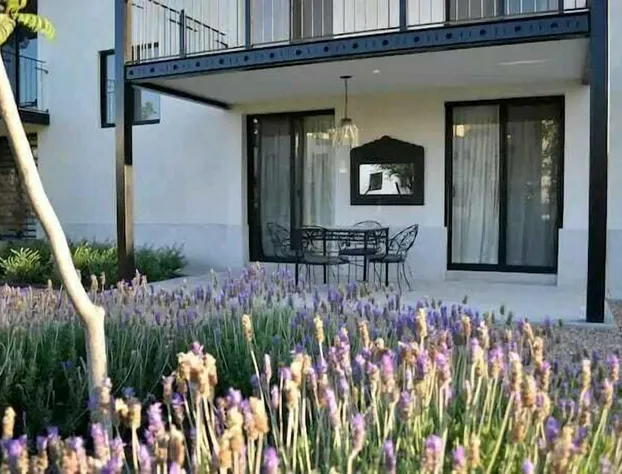 Casa Itzae La Luminaria Dog Friendly hotel detail image 2