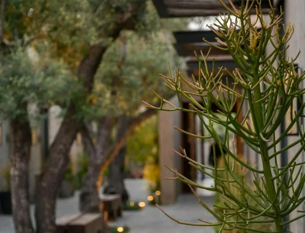 Hotel Andana Resort hotel detail image 2