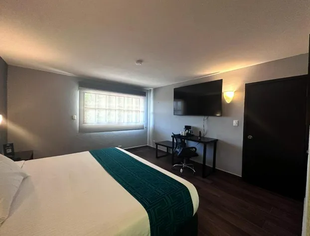 InHouse Hotel Obregón hotel detail image 4