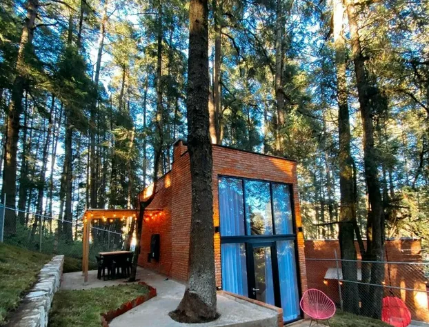 TinyChillHouse hotel detail image 4