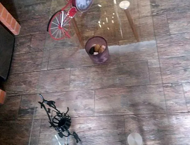 Abitare Durango By Grupo Salazar hotel detail image 2