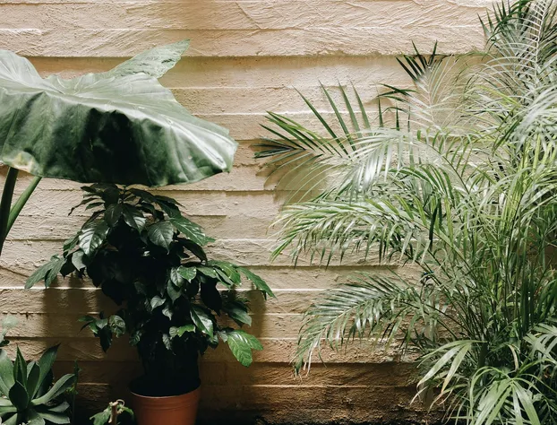 Hotel Boutique Florencia hotel detail image 2