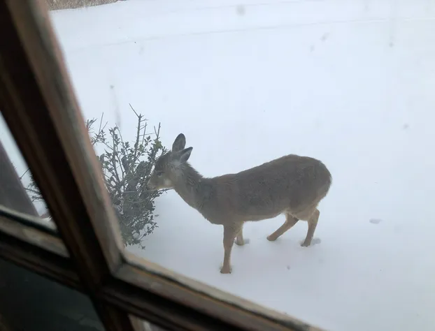 1735 Stone Farmhouse hotel detail image 4