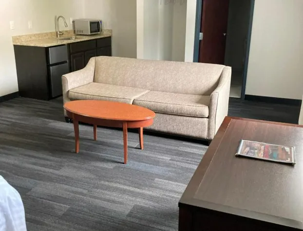 Elker Inn & Suites hotel detail image 3