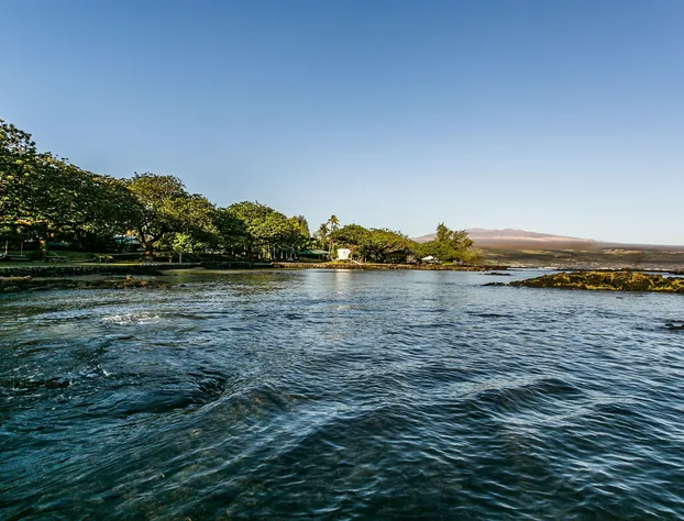 Hilo Beach House Inn hotel detail image 2