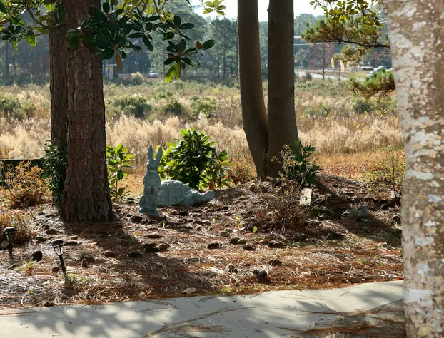 Boiling Spring Lakes Motel hotel detail image 4