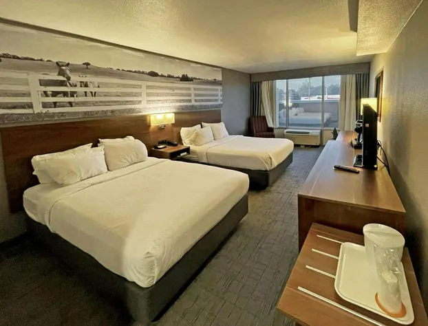 Clarion Pointe Hopkinsville near The Bruce Convention Center hotel detail image 3