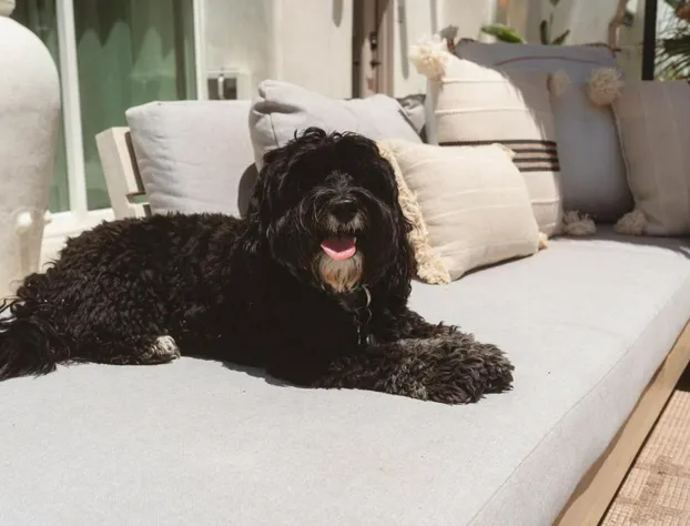 Yara Hotel hotel detail image 2