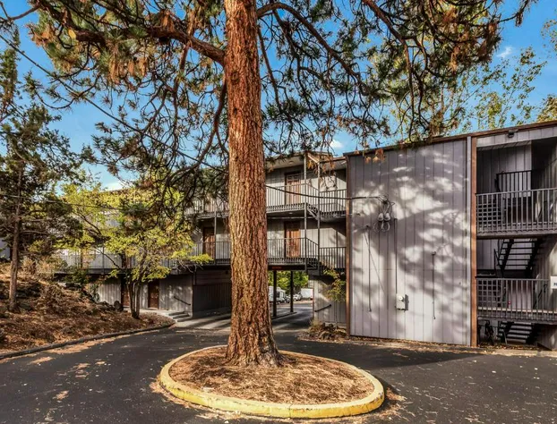 Pioneer Park Rentals hotel detail image 3