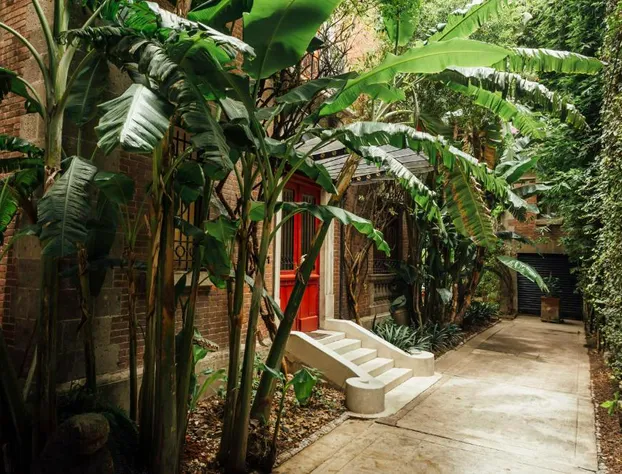 Maison du comte hotel detail image 1