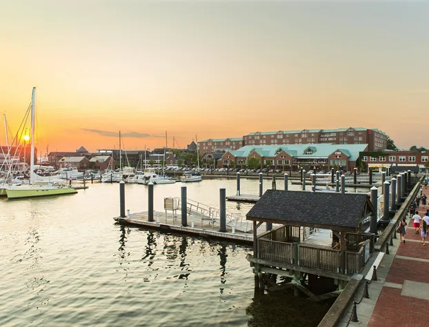 Newport Marriott Hotel & Spa hotel detail image 3