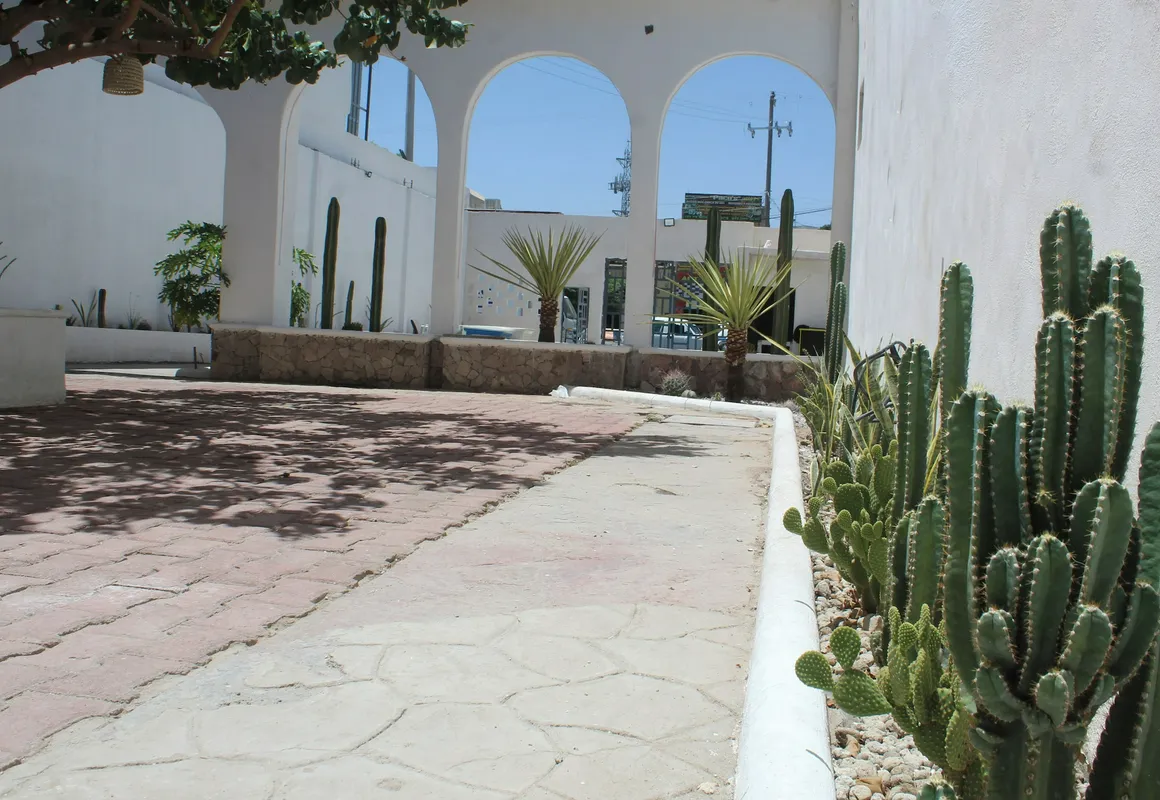 Hotel Casa Hidalgo hotel hero