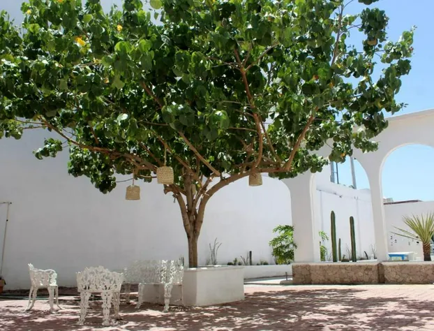 Casa Hidalgo Hotel hotel detail image 3