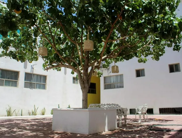 Casa Hidalgo Hotel hotel detail image 4