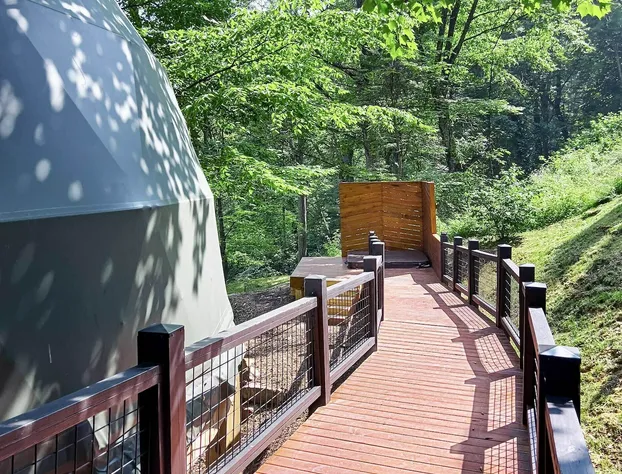 The Glamping Collective hotel detail image 1