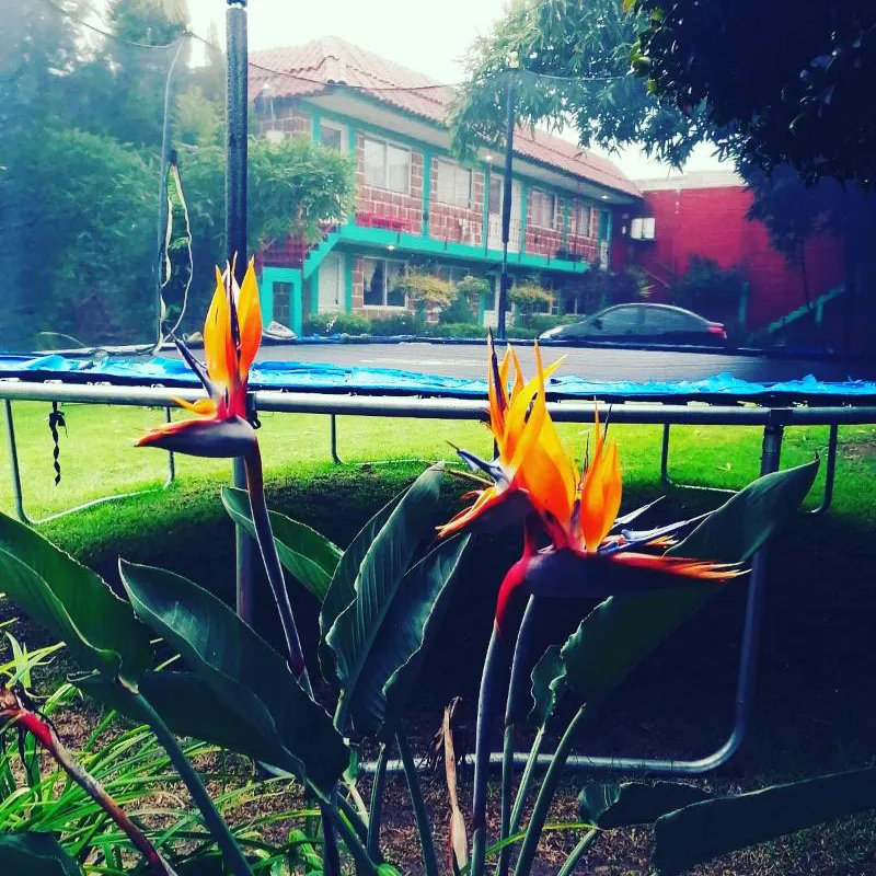 Las Fumarolas de Don Goyo hotel hero