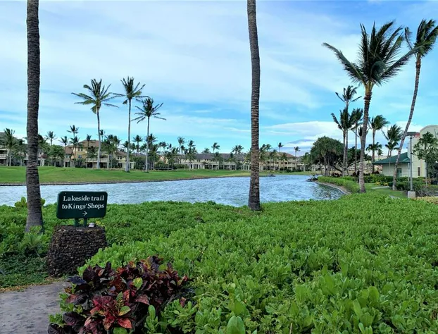 Coconut at Shores - Waikoloa Beach Resort hotel detail image 3
