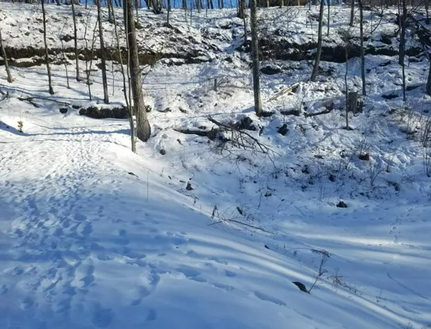 Emerald Little Lodge hotel detail image 1