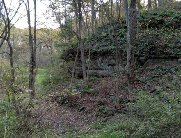 Emerald Little Lodge hotel detail image 3