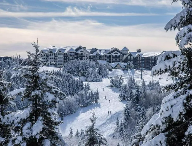 Snowshoe Ski-in & Ski-out at Silvercreek Resort - Family friendly, jacuzzi, hot tub, mountain views hotel detail image 3