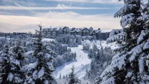 Snowshoe Ski-in & Ski-out at Silvercreek Resort - Family friendly, jacuzzi, hot tub, mountain views hotel detail image 4